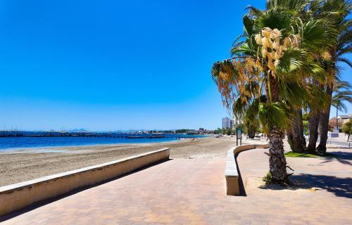 a bench next to a beach with a palm tree at Cactus Apartment La Ribera in Santiago de la Ribera