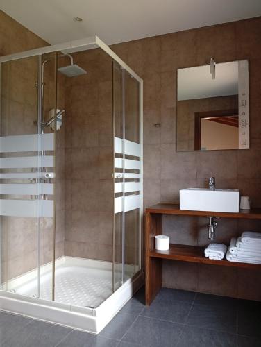 a bathroom with a shower and a sink at Hotel el Rincon de Yaxu in Vidiago