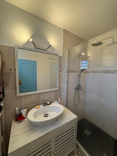 a bathroom with a sink and a mirror and a shower at Villa Morne-Bou in Petit-Bourg
