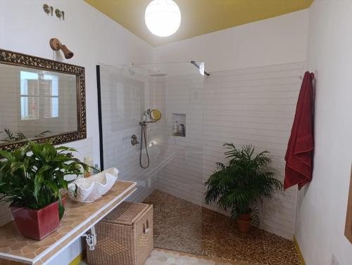 a bathroom with a shower with two plants in it at Casa en Cádiz in Benalup Casas Viejas