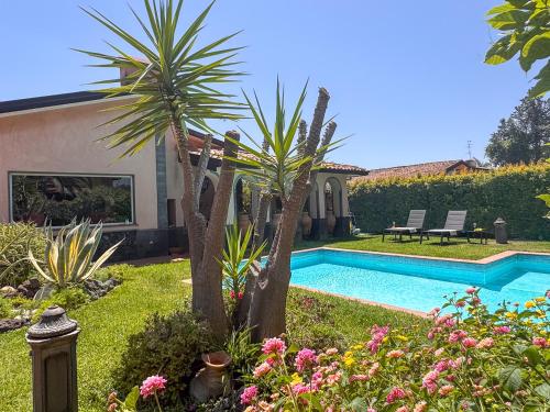 a swimming pool in a yard with two palm trees at Villa Etna in San Giovanni la Punta