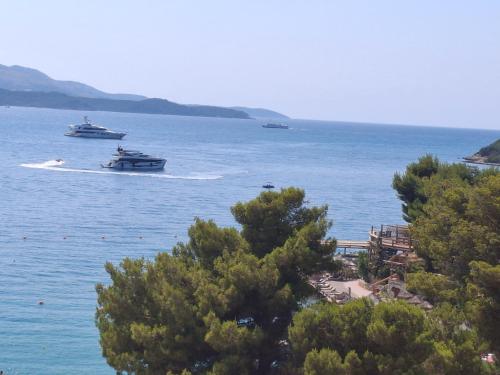 Paesaggio naturale nelle vicinanze dell'appartamento