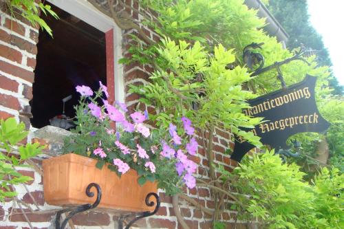 a window with a pot of flowers on a brick wall at Den Haegepreeck in Horebeke
