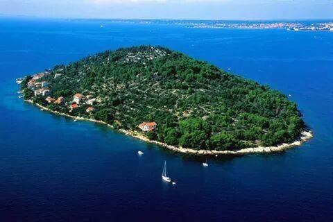 Φωτογραφία από το άλμπουμ του Ana & Marko-Island Ošljak σε Island Osljak