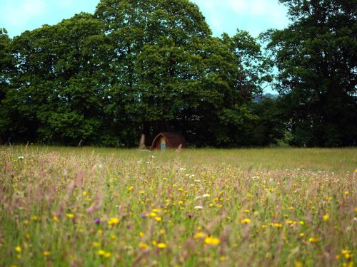 Κήπος έξω από το Hogchester Meadow Pods