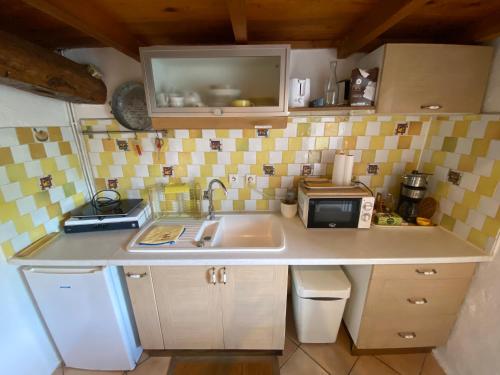 une petite cuisine avec un évier et un micro-ondes dans l'établissement Studio atypique plein centre, à Flayosc