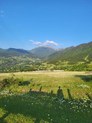 a group of people walking through a field of flowers at Еко дом с верандой с видом на горы in Borjomi