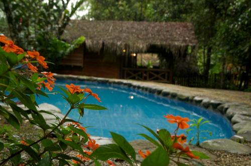 a pool in front of a house with orange flowers at Mindo Lago Hotel Destino in Mindo