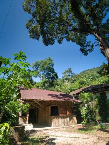 a house with a tree in front of it at cedro do ronca in Parati-Mirim