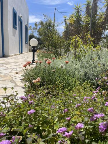 Gallery image of Stavros Seaside Apartment 06 in Stavros