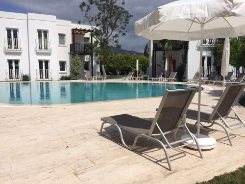 ein Paar Stühle und ein Regenschirm neben einem Pool in der Unterkunft Meis Hotel in Bitez