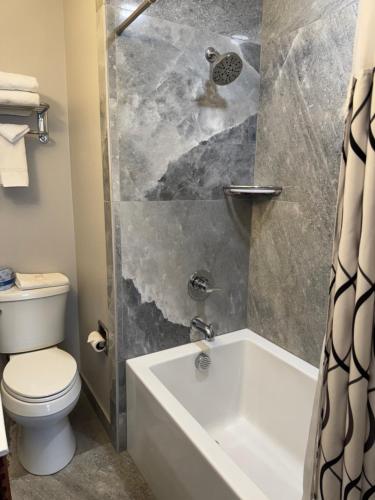 a bathroom with a tub and a toilet and a shower at Bridge Street Inn in Baker City