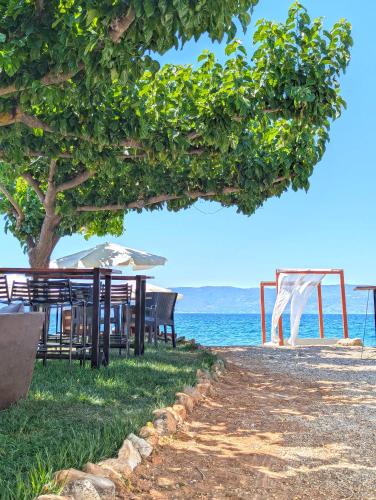 un tavolo e sedie sotto un albero accanto all'oceano di Sea You on the Beach a Amarinthos
