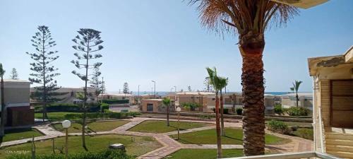 a view of a park with a palm tree at شاليه صف أول بإطلالة مباشرة على البحر والبسين قرية قناة السويس الكيلو 67 الساحل الشمالي خصوصية وهدوء ورقي في واحدة من ارقى قرى الساحل North Coast First Row Chalet with Direct Sea and Pool View Km 67 Qanat El Suz Elegant Quiet and Private Gated Community in Dawwār Muşādif Yūnus