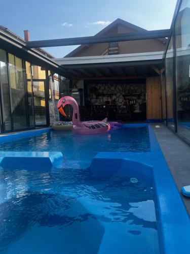 a swimming pool with a pink swan in the water at Dorotea Apartment in Ohrid