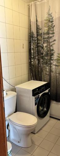 a bathroom with a toilet and a washing machine at Roman Gardens Studio Apartment in Risan