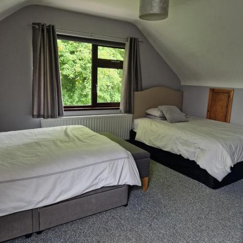 Fotografie z fotogalerie ubytování The Tree-house B&B v destinaci Ballymena