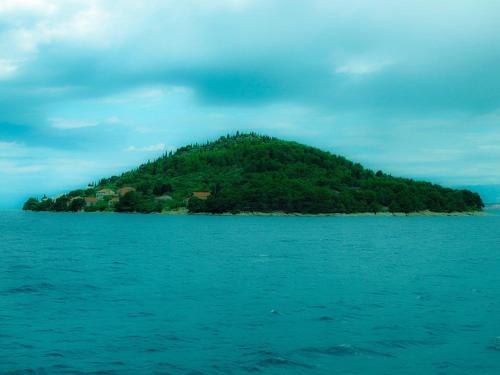 Φωτογραφία από το άλμπουμ του Ana & Marko-Island Ošljak σε Island Osljak