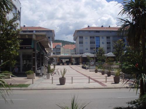 a city street with buildings and potted plants at M Group studio in Tivat