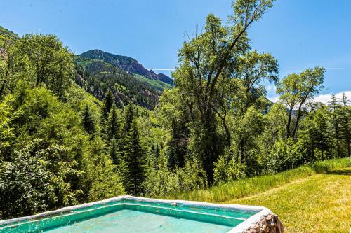 an empty swimming pool in the middle of a forest at Elephant Mountain Cabin at Filoha Meadows in Redstone