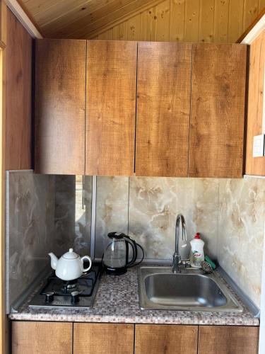Η κουζίνα ή μικρή κουζίνα στο Glamping Baku
