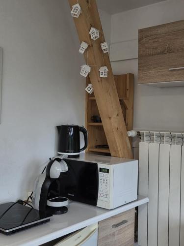 a microwave sitting on a counter in a kitchen at Natura Bukowina Tatrzańska in Bukowina Tatrzańska