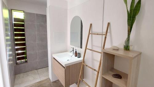 a bathroom with a sink and a mirror at La Case des Caraïbes in Le Gosier