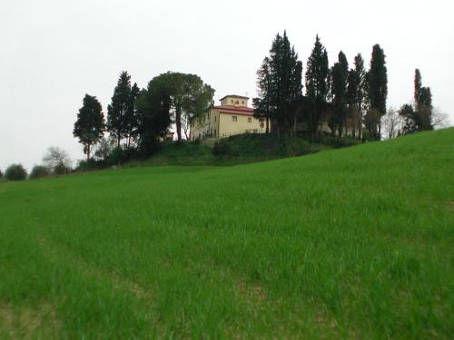 a house on a hill with green grass and trees at Agriturismo I Moricci in Peccioli
