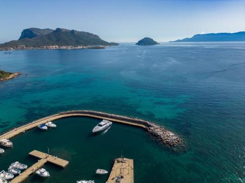 an aerial view of a harbor with boats in the water at Apartment Ginestra by Interhome in Casa Tamponi