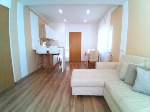 Posezení v ubytování City Center Apartment and Room