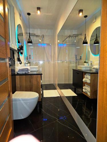 a bathroom with a shower and a toilet and a sink at Domek Cztery Pory Roku - Garncarska 1 in Czchów