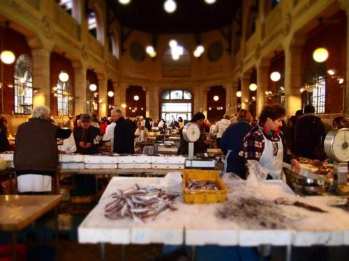 un gruppo di persone in una grande stanza con del cibo di Studio Apartment Greis a Fiume (Rijeka)