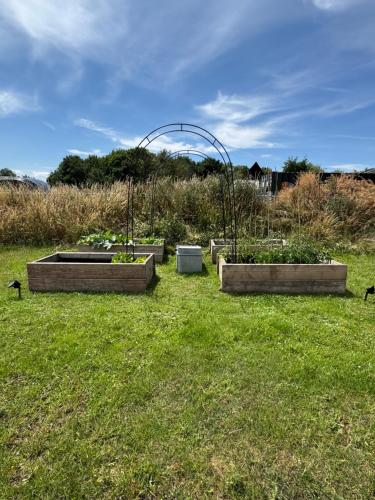 a group of three raised plants in a field at The Old Stable 1 in Messing