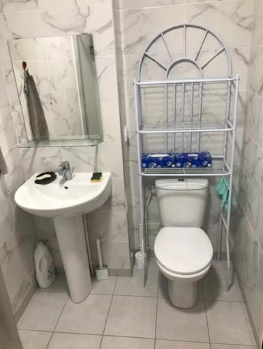 a bathroom with a sink and a toilet and a mirror at Petit Jardin de Paris in Gennevilliers