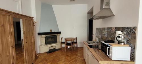 a kitchen with a counter with a microwave and a stove at Asnyk Prestige Apartments in Kraków