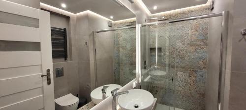 a bathroom with a shower and a toilet and a sink at Asnyk Prestige Apartments in Kraków