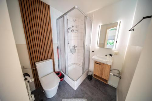 a bathroom with a shower and a toilet and a sink at GottwaldHaus - Freiberg - Apartment - F in Freiberg