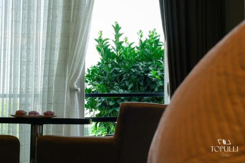a room with a window with a view of a plant at Villa Topulli View in Gjirokastër