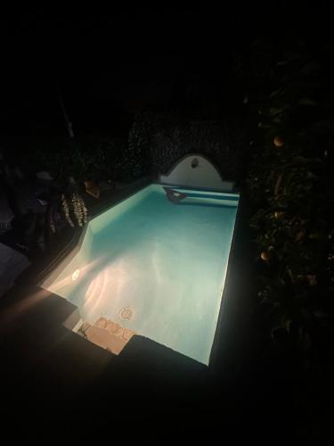 a swimming pool at night with a paddle in it at Yellow House B&B in Ciampino