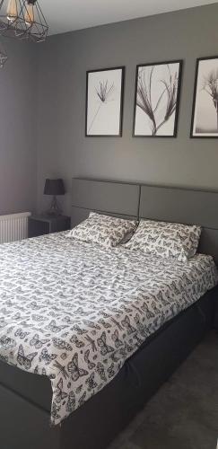 Nowoczesny apartament z dużym tarasem i widokiem na jezioro