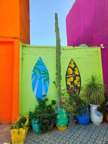 a group of potted plants in front of a wall at Moroccan Boho Surf House in Agadir