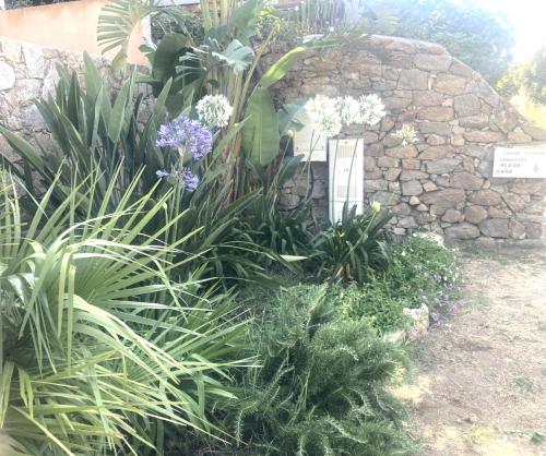 a garden with flowers and a stone wall at Residences Santa Vittoria in Algajola