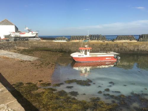 a small boat in the water near a pier at Harbour View in Johnshaven