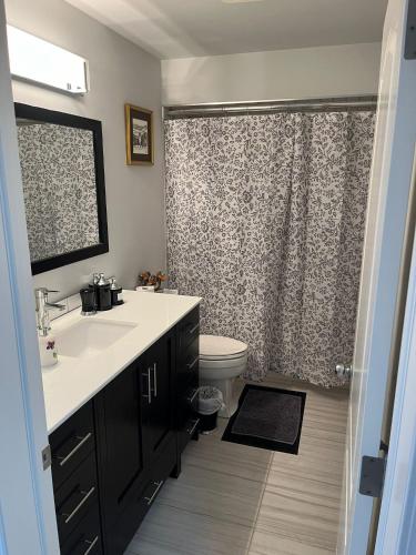 a bathroom with a sink and a toilet and a shower at Cozy and comfy 1 BEDROOM basement suite at Cougar ridge SW Calgary in Calgary
