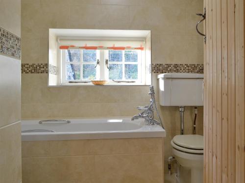 a bathroom with a tub and a toilet and a window at The Mill in Tregaron