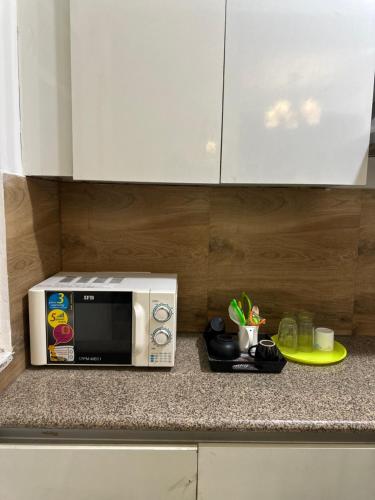 Kuchyň nebo kuchyňský kout v ubytování Studio apartment advant Self Checkin Expo india