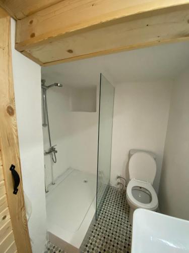 a small bathroom with a toilet and a shower at Latibule Adahan Guest House in Ayvalık