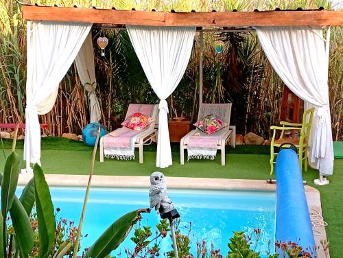 a pool with two chairs and a gazebo at Bohème Valdareina, Piscine chauffée, Bénagil-Carvoeiro in Carvoeiro