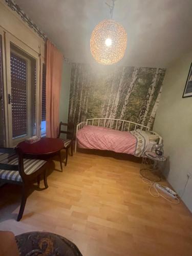 a bedroom with a bed and a chandelier at Soba s pogledom na Dravski Park u Varaždinu in Varaždin
