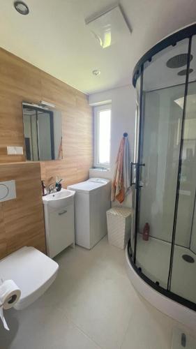 a bathroom with a shower and a sink and a toilet at Domek w Limanowej in Limanowa